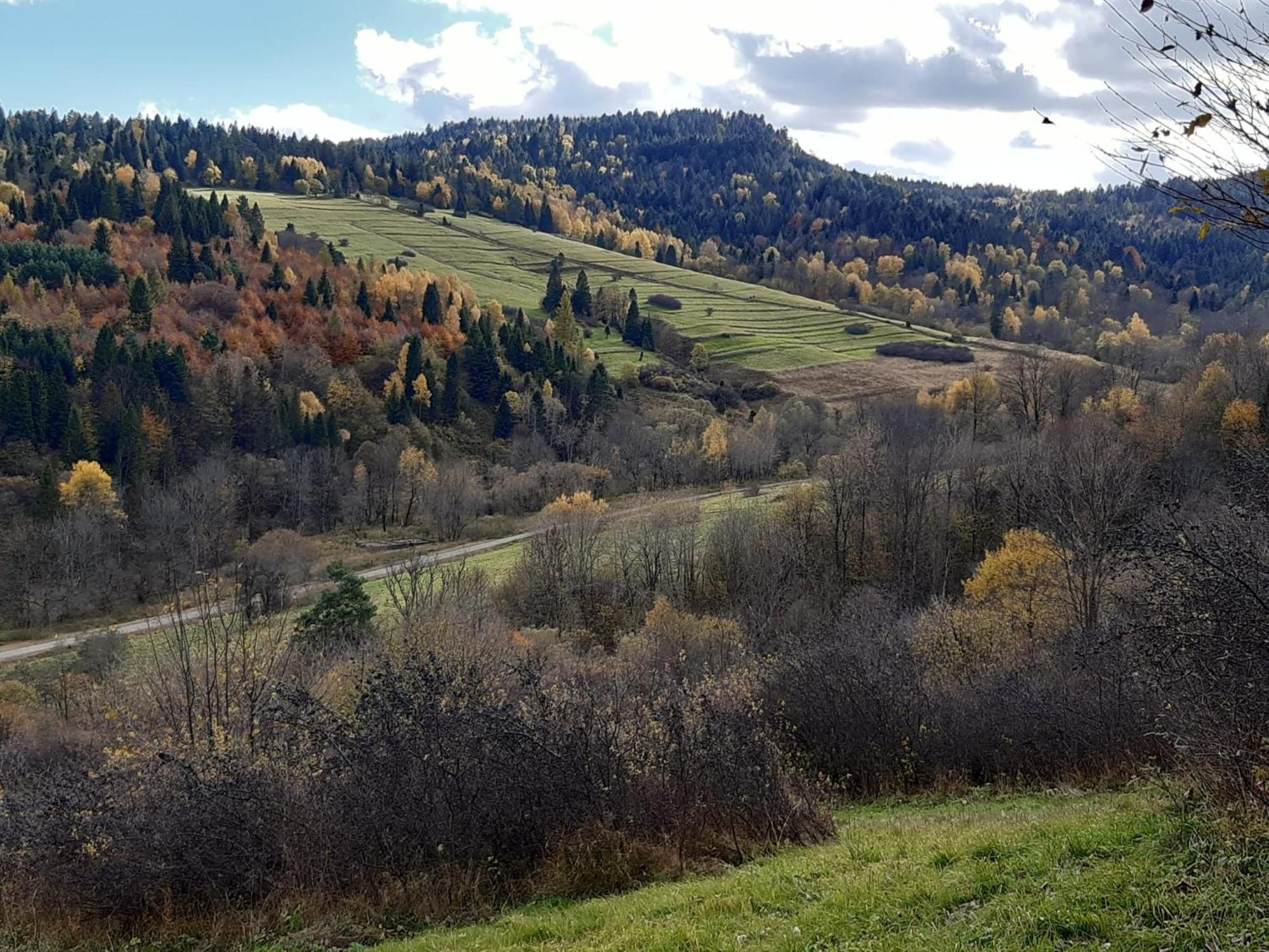 Chata Pod Wyciagiem Wańkowa Exteriér fotografie